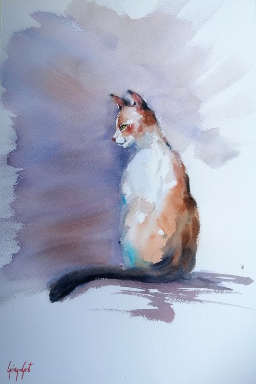cat 6 by Giorgio Gosti