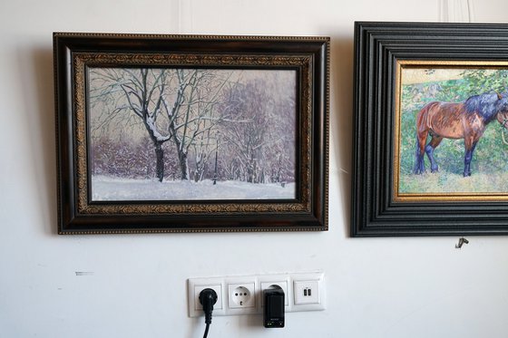 Maple Alley in January