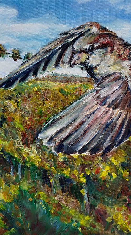 Sparrow At The Vineyards by Jura Kuba Art