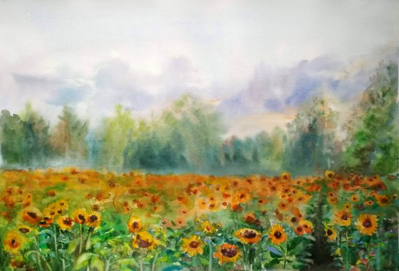 Sunflower field - Landscape - Watercolor