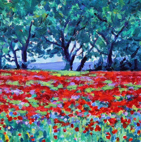 Evening Poppies