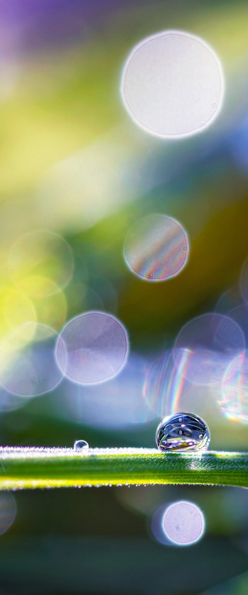 Shine - Studio Edition by Inna Etuvgi