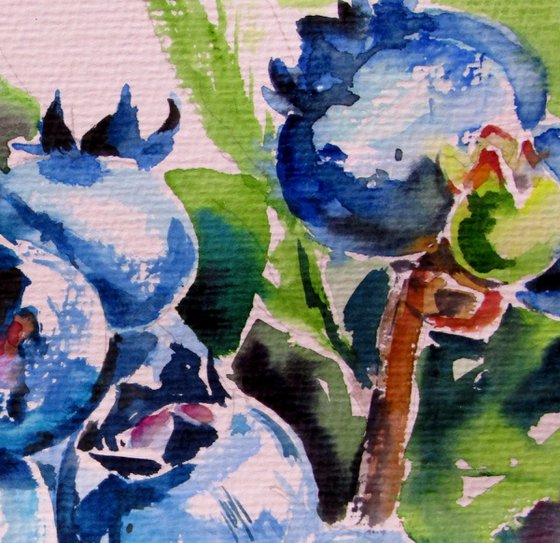 Blueberry