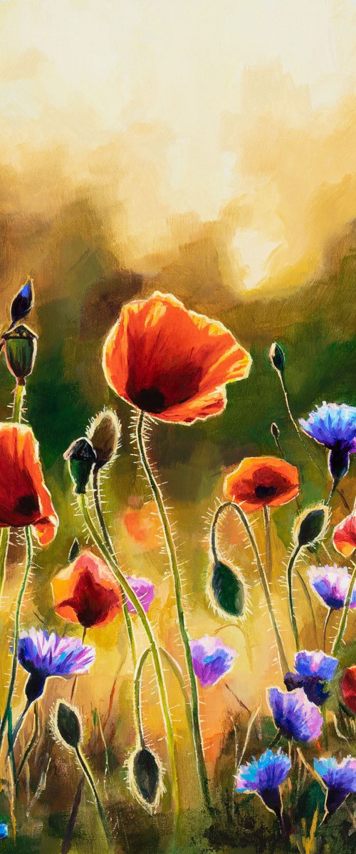May golden hour by Lucia Verdejo
