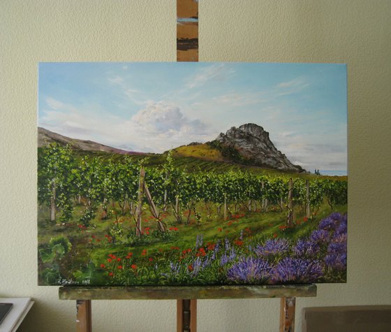 Lavender Field and Vineyard