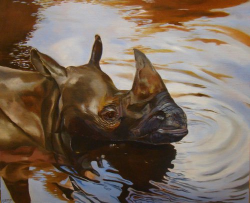 The black rhino by Anne Zamo