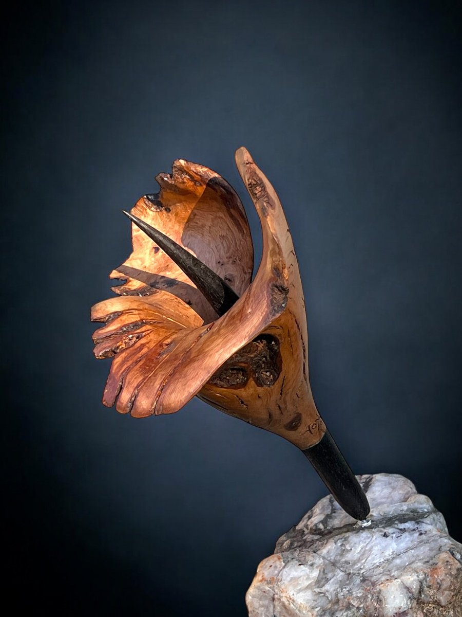 Organic Botanical Wood Sculpture By Roland Kopfer, 8 X 13", Oak On The Rock, Original Artwork