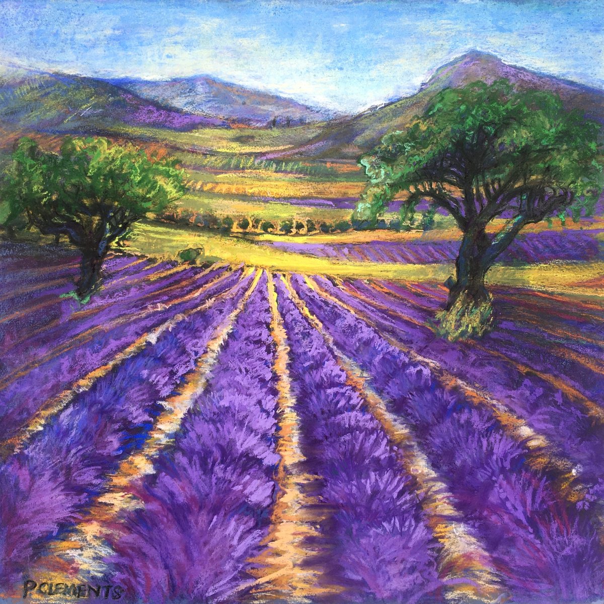 Lavender Fields of France by Patricia Clements