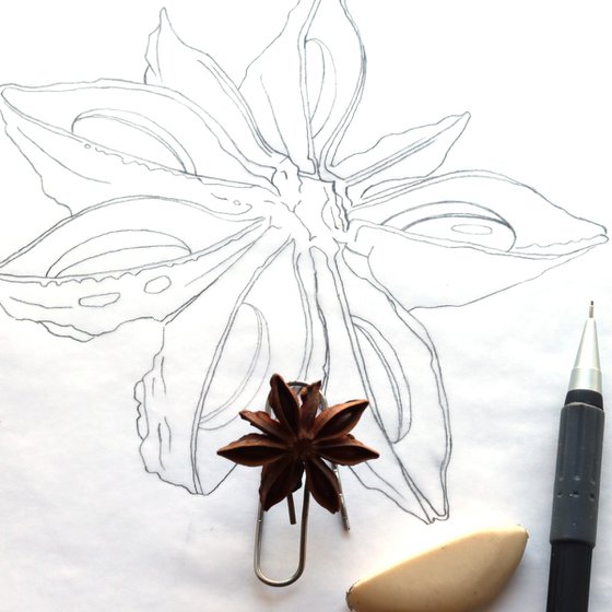 Star Anise Silverpoint