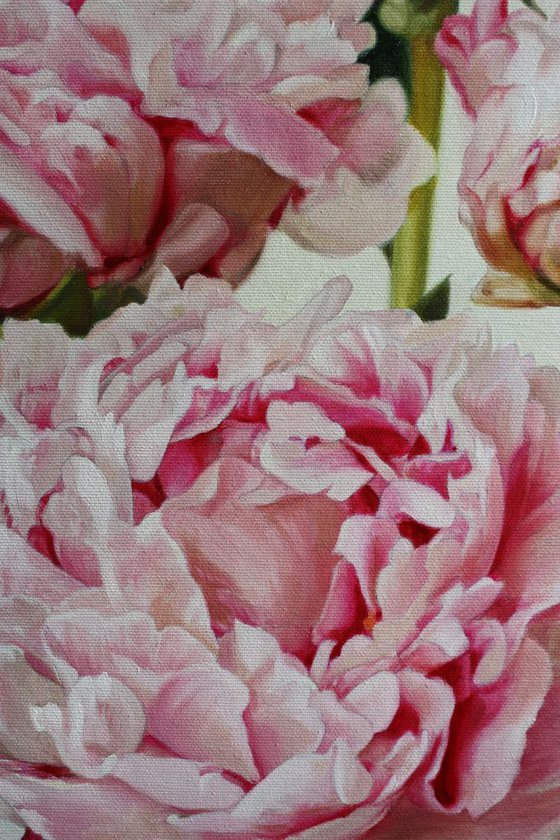 pink peonies