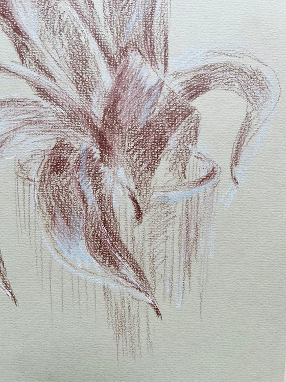 French tulips #1 . Original pencil drawing. 2020