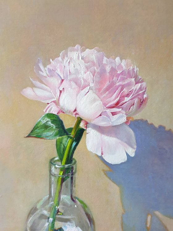 "Morning peony." still life peony pink summer  white liGHt original painting  GIFT (2020)