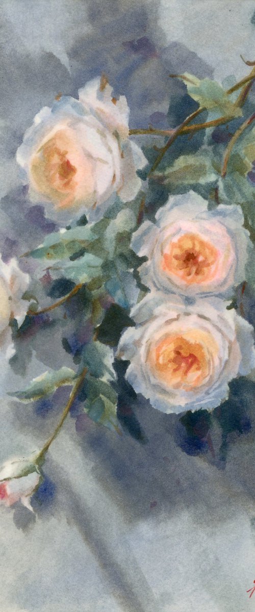 Roses and Shadows by Yulia Evsyukova