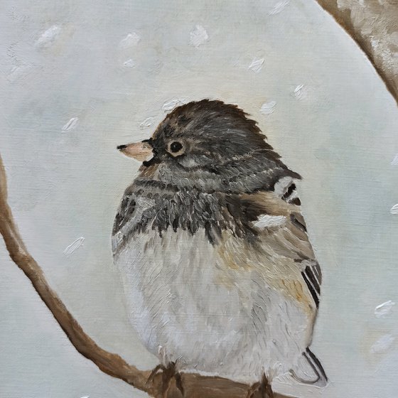 Snowbird In The Blizzard