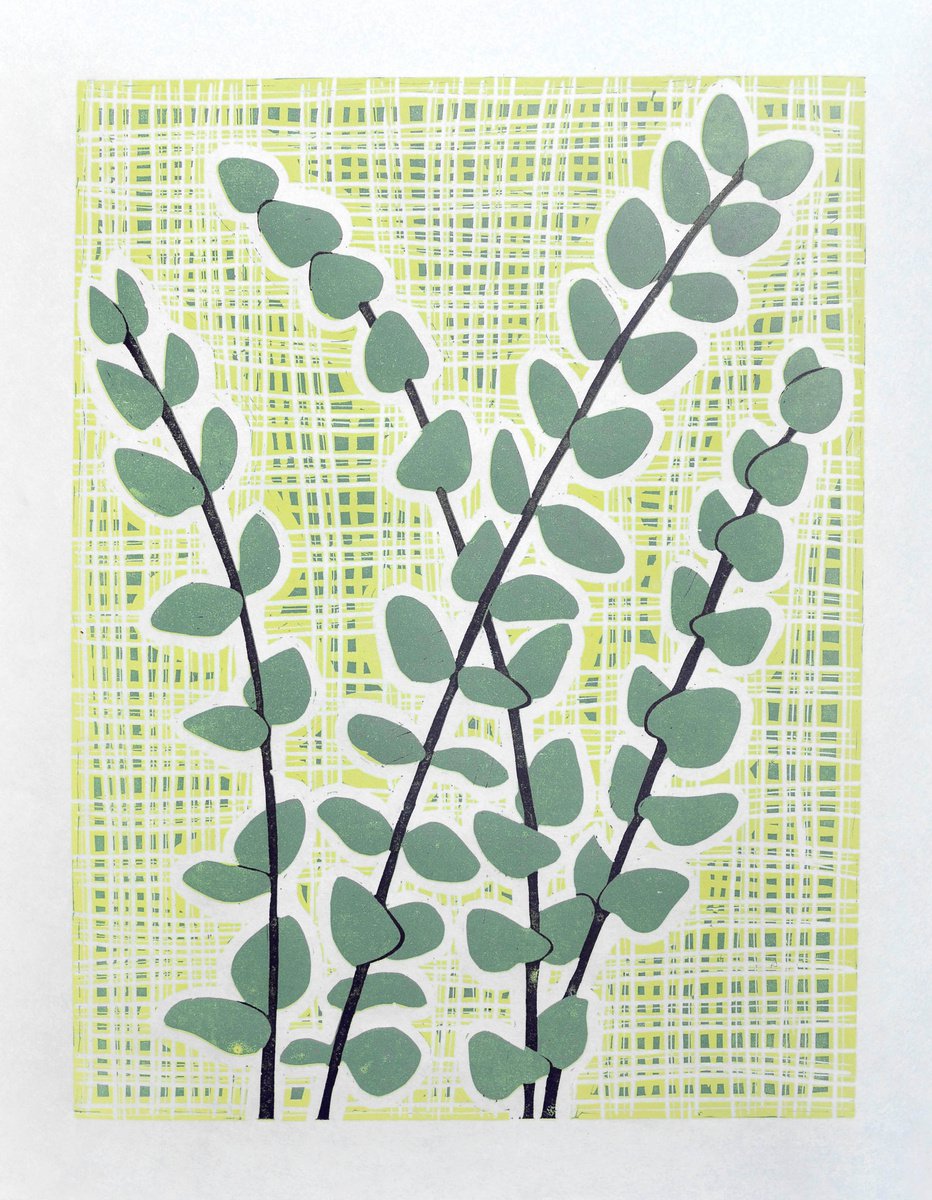 Eucalyptus Stems by Melissa Birch