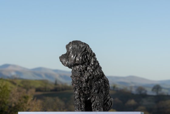 Maltese Terrier Bronze Resin
