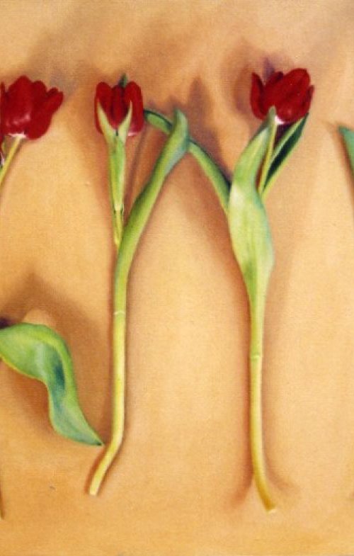Five Red Tulips by Trinidad Ball