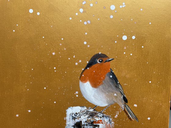 Red Robin in the Snow