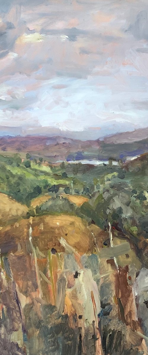 No need to walk far Plainair work by Lana Verdi