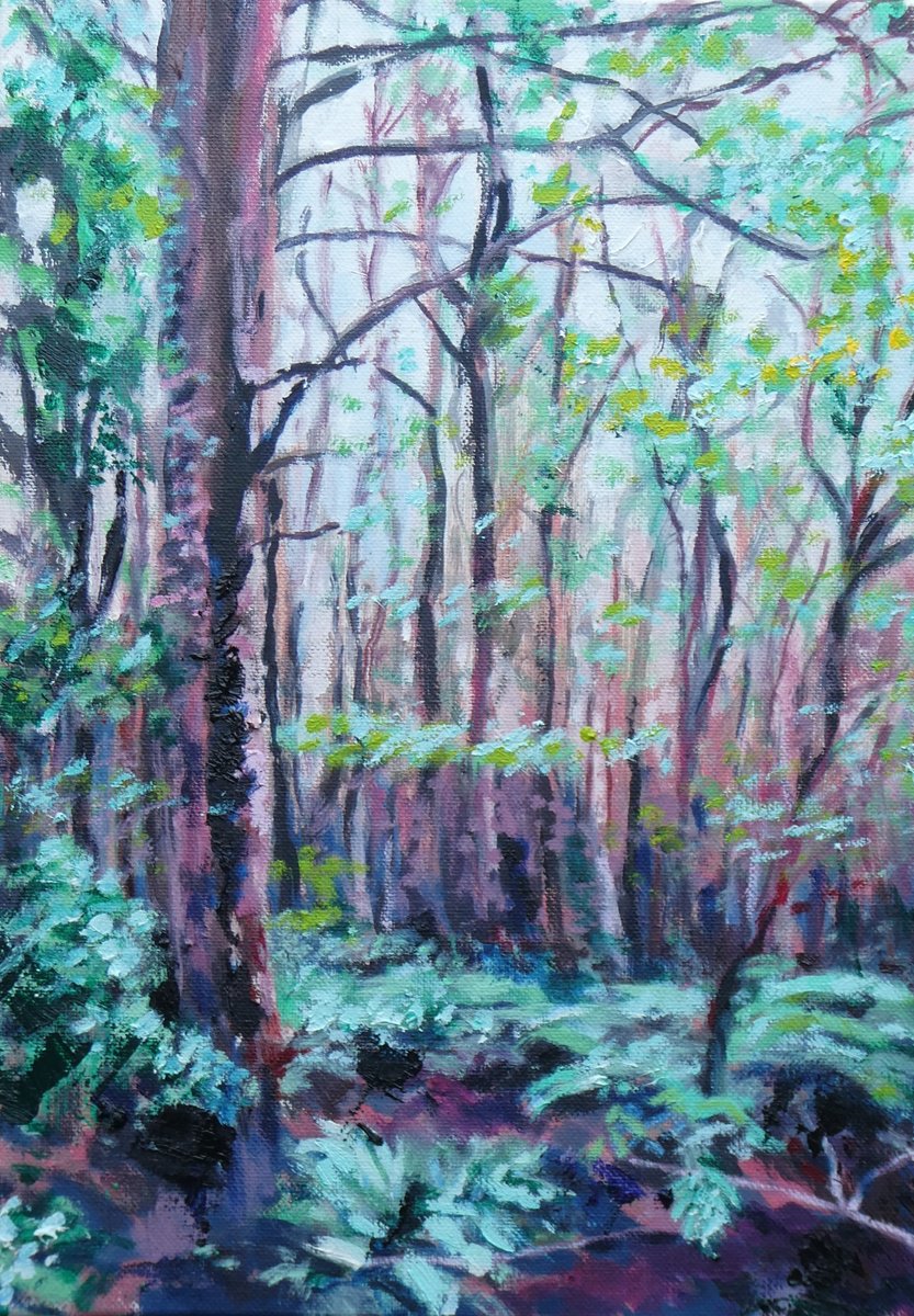 Walk in the woods 1 by Paul McKee