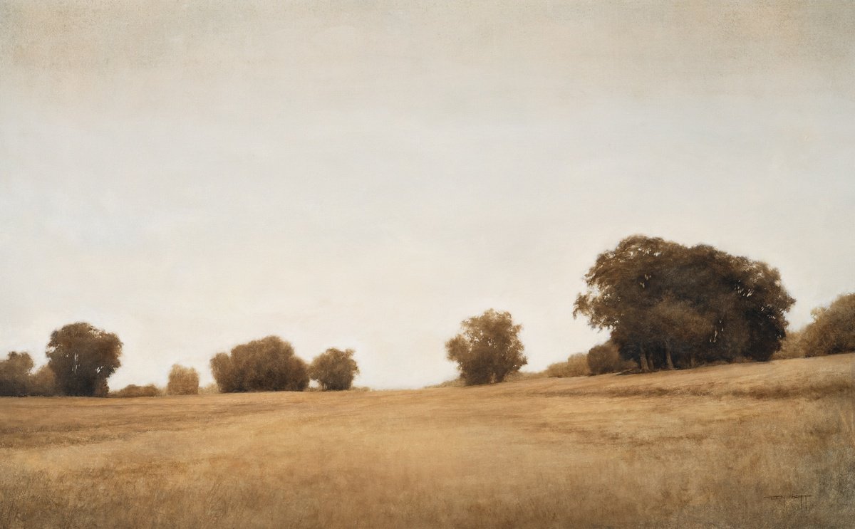 Summer Oak Trees 240914 by Don Bishop