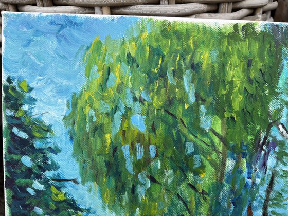 Birches by the lake. Pleinair