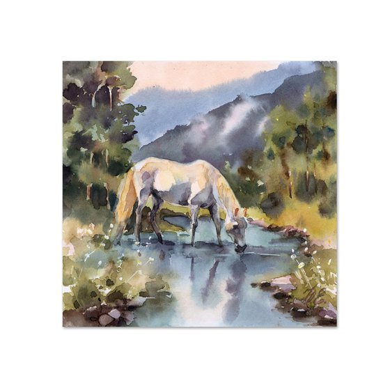 White horse at the forest river