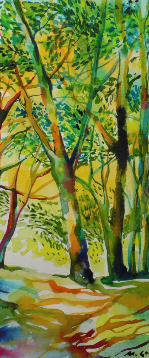 Green forest by Maja Grecic