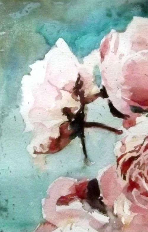 Pink Peonies by Anthony Barrow BA(Hons) Fine Art