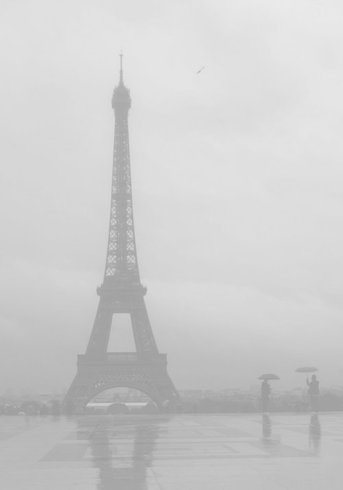 " Rainy morning. Trocadéro " by Dmitry Savchenko