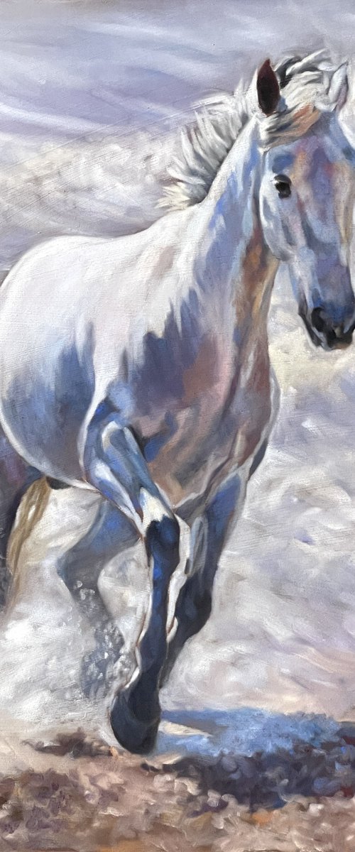 Making a Splash - Andalusian by Lorna Lancaster ASEA
