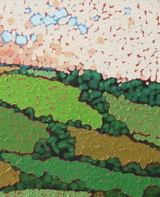 Patchwork Fields