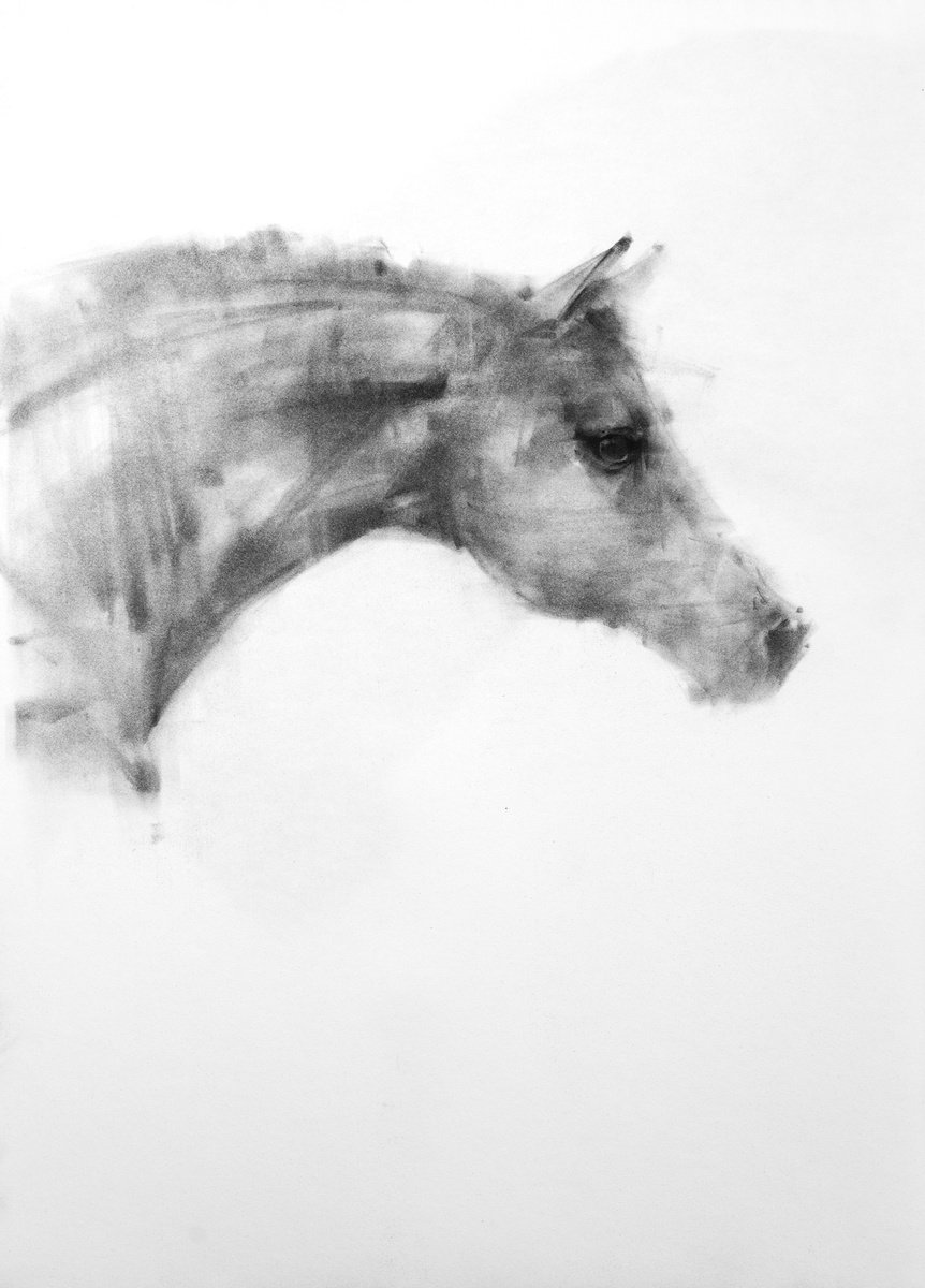 horse 2023 1 by Tianyin Wang