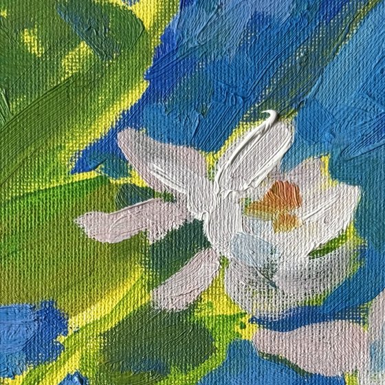 Water lilies