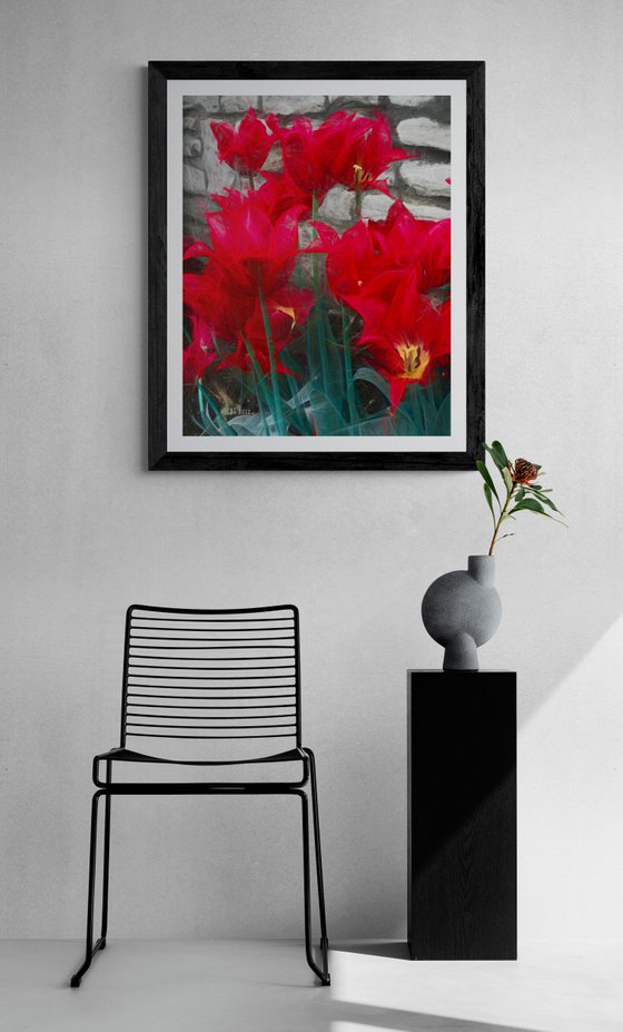 Red Tulips Against Stone Wall