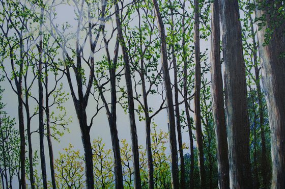 Magical Spring Light  92cm x 122cm