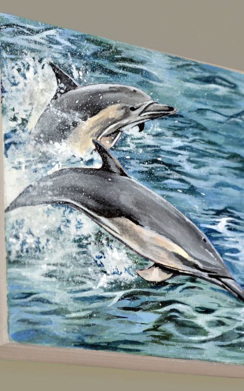 Dolphins by Gemma Duffield