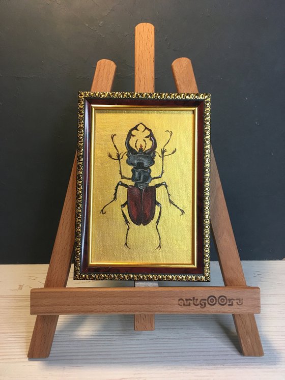 LUCANUS CERVUS - Golden collection of beetles