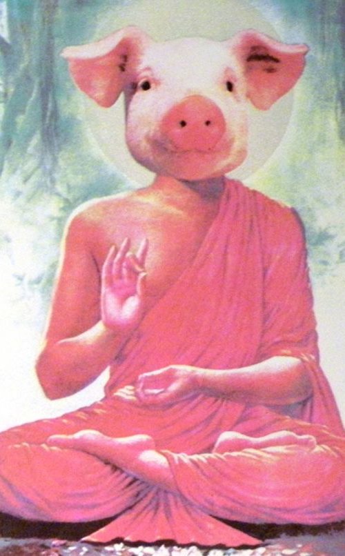 Buddha Pig by Karen Fiorito