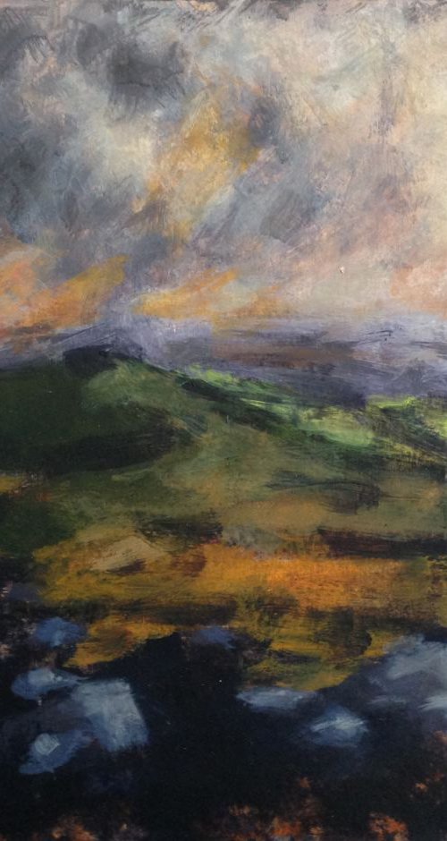 Dartmoor - Late afternoon No 2 by Hugo Lines