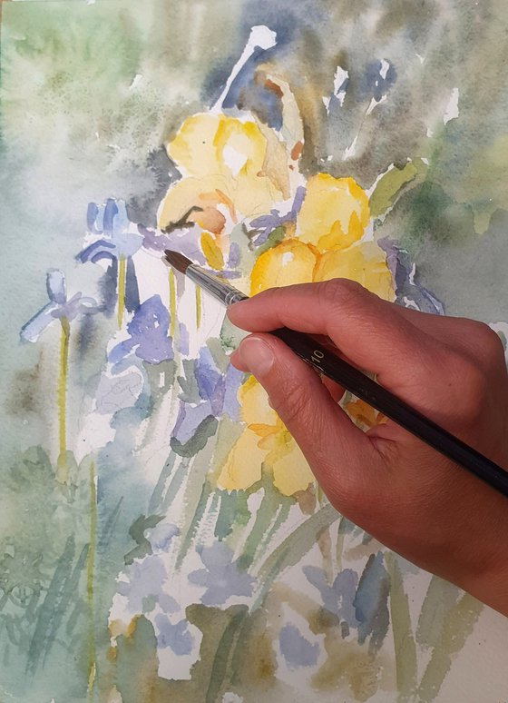 Irises
