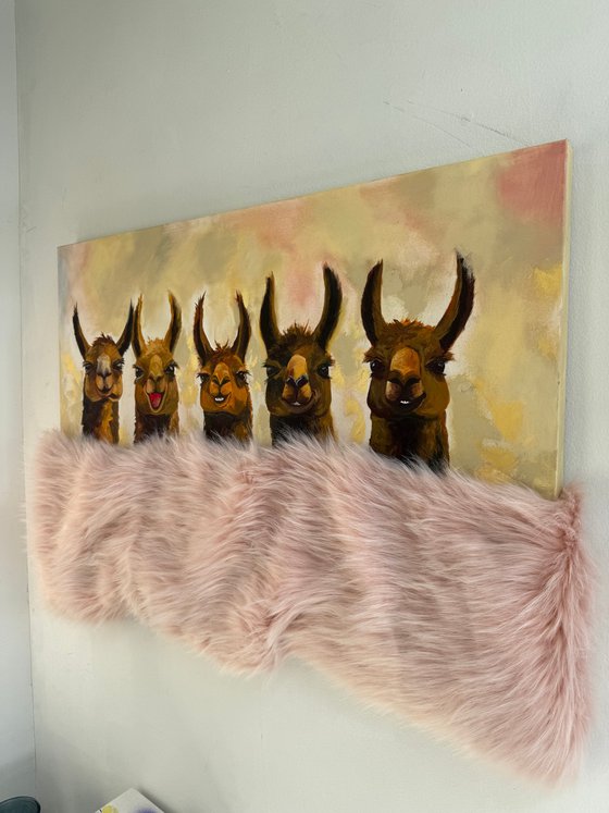 Five Friendly Alpacas
