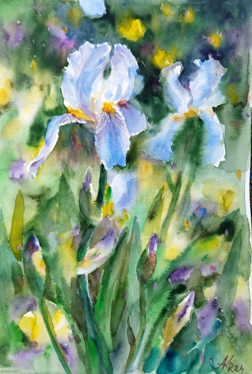 Impressionistic Botanical Watercolour By Ann Krasikova, 11 X 17, Charming Flowers Of Iris, Original Artwork