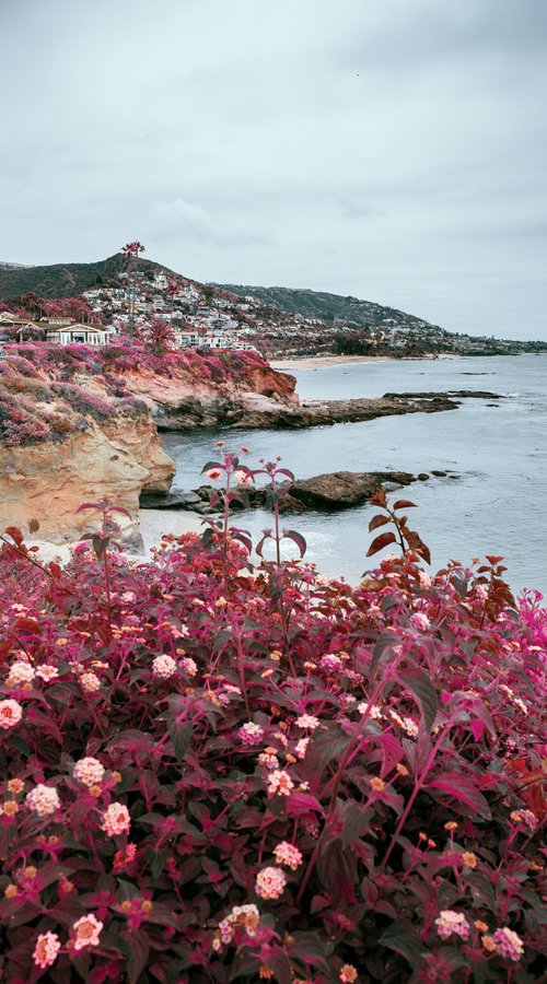 LAGUNA BEACH II by Harv Greenberg