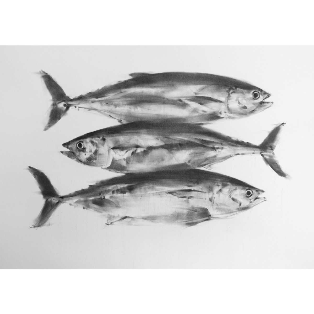 Three Tuna Fish by Tianyin Wang