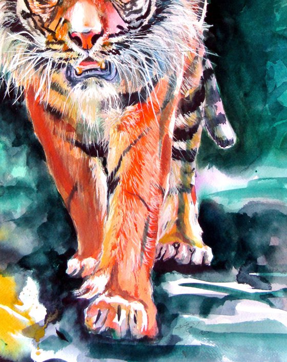 Tiger in forest