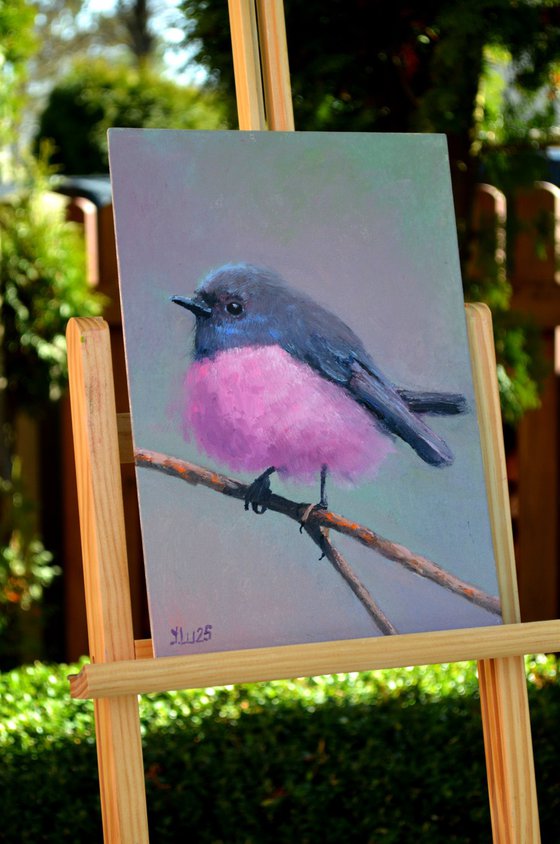 Australian Bird on a branch