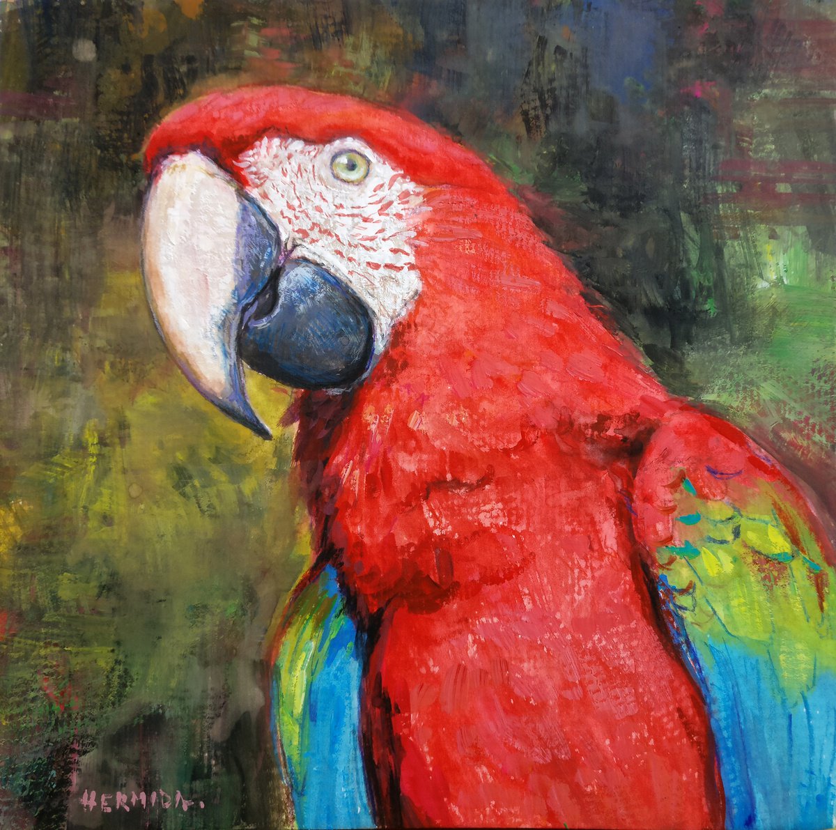 Scarlet macaw by Gabriel Hermida