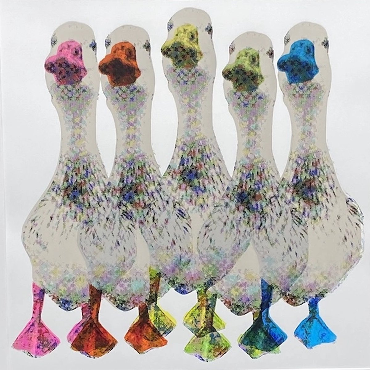 Urban And Pop Animal Screenprint By Charlotte Gerrard, 20 X 20, New Duck Pride, Original Artwork