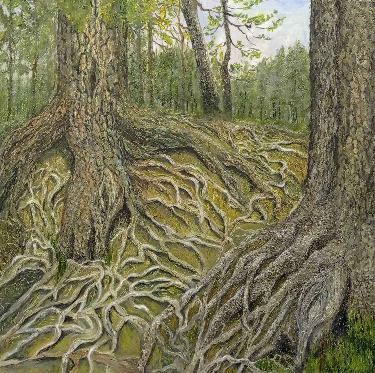 old cedars by Irina Tolstikova